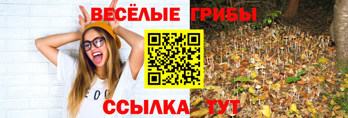 Псилоцибиновые грибы Magic Shrooms Рязань