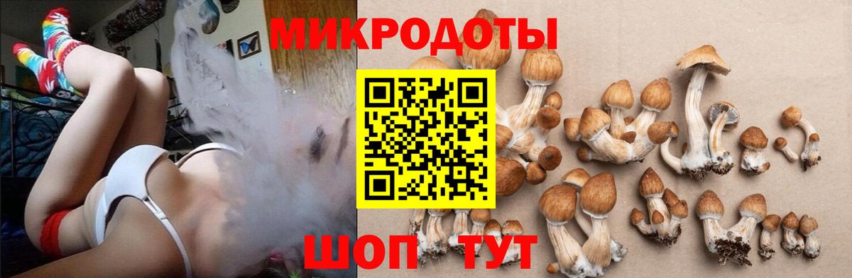 Рязань  Псилоцибиновые грибы мухоморы  Вход с VPN  Галлюциногенные грибы мухоморы 